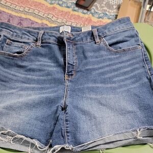 Time and Tru Classic Blue Jean Shorts